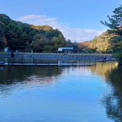 釣行タイミングが良ければ釣れる ～岡崎トラウトポンド～